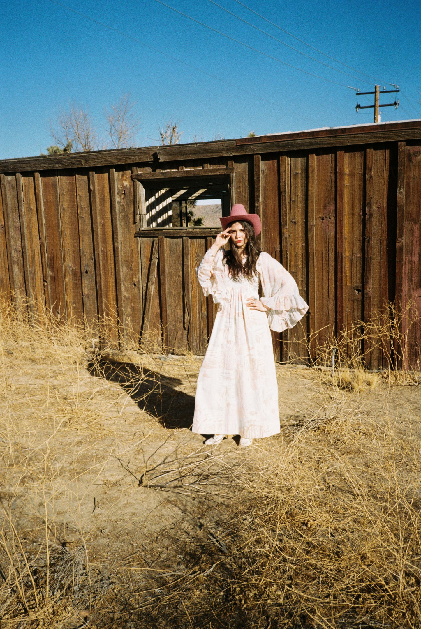Vintage Watercolor Angel Sleeve Praire Dress